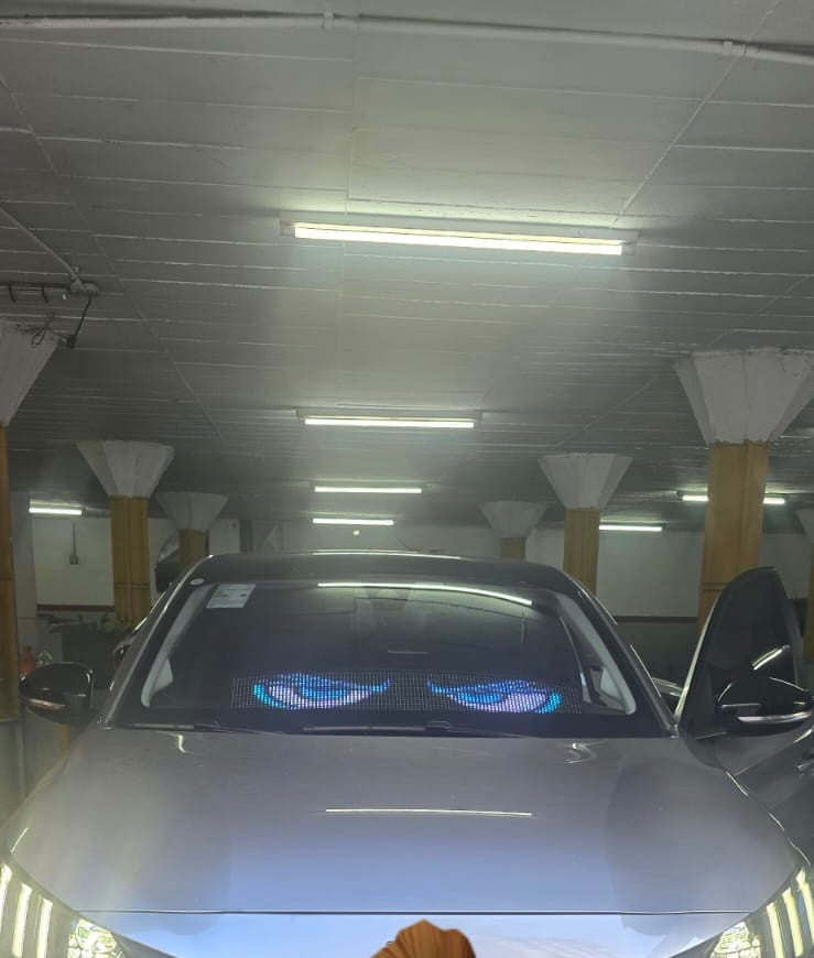 LEDs Ojos Animados para Parabrisas 19x90cm — Programable por App